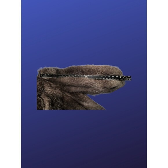 𝅺forgues FOURRURES Full Length INDIGO FOX Fur Coat, Women’s Size Large, EUC - Picture 5 of 10